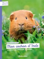 Mon cochon d'Inde