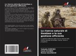 riserva naturale di Itombwe e la sua gestione efficiente