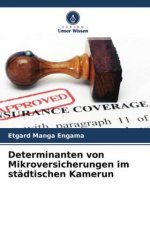 Determinanten von Mikroversicherungen im stadtischen Kamerun