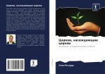 Церкви, насаждающие церк