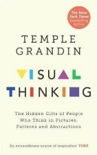 Visual Thinker