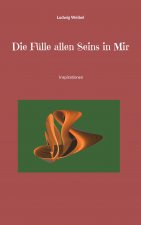 Fulle allen Seins in Mir