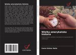 Wielka amerykańska historia