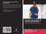 Cirurgia das lesoes da coluna dorsolombar