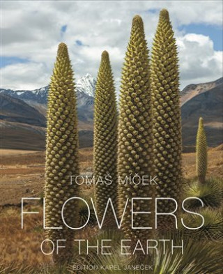 Flowers of the Earth