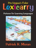 Lexicarry