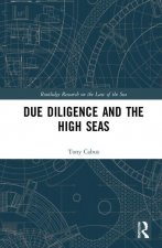 Due Diligence and the High Seas
