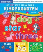 My Big Wipe Clean: Kindergarten Words Numbers