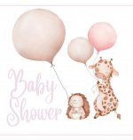 Welcome Baby, Baby shower guest book (Hardcover)