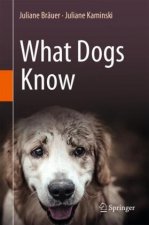 What Dogs Know
