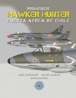 Primeros Hawker Hunter de la Fuerza Aerea de Chile