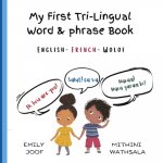 My First Tri-Lingual Word & Phrase Book