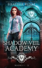 Shadow Veil Academy