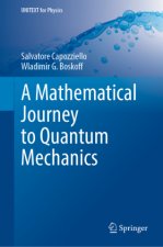 Mathematical Journey to Quantum Mechanics