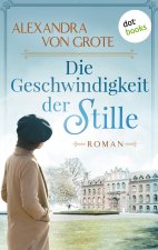 Geschwindigkeit der Stille