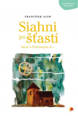 Siahni po ďż˝ďż˝astďż˝