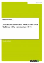 Feminismus bei Bozena Nemcova im Werk 
