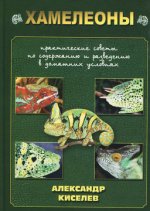 Хамелеоны. Содержание и разведение в домашних условиях