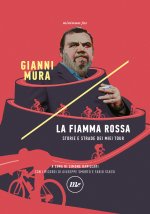 fiamma rossa. Storie e strade dei miei tour