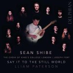 Say it to the still world - Chor & E-Gitarre