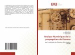 Analyse Numerique de la propagation de fissures