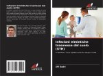 Infezioni elmintiche trasmesse dal suolo (STH)