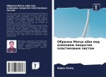 Обрезки Morus alba под влиянием п