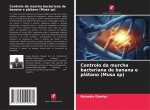 Controlo da murcha bacteriana de banana e platano (Musa sp)