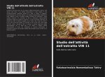 Studio dell'attivita dell'estratto VIN 11