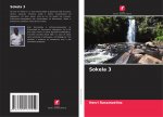Sokela 3