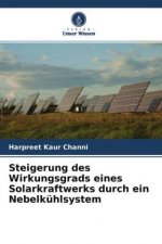 Steigerung des Wirkungsgrads eines Solarkraftwerks durch ein Nebelkuhlsystem