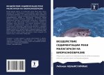 ВОЗДЕЙСТВИЕ СЕДИМЕНТАЦ&#