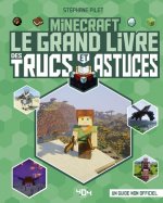 Minecraft - Le grand livre des trucs et astuces (nouvelle édition)