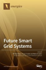 Future Smart Grid Systems