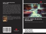 S.O.S. Lagos de Jacona, Michoacan