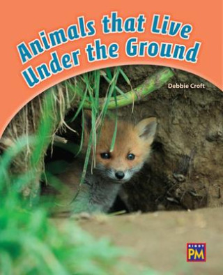 Animals That Live Underground: Leveled Reader Orange Level 16