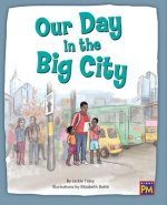 Our Day in the Big City: Leveled Reader Turquoise Level 17