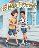 A New Friend: Leveled Reader Purple Level 19
