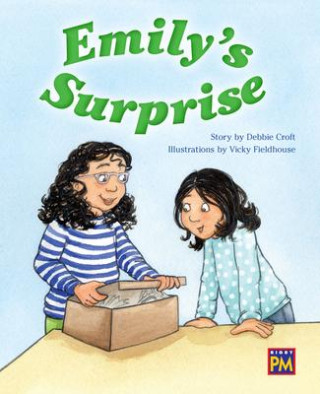 Emily's Surprise: Leveled Reader Purple Level 19