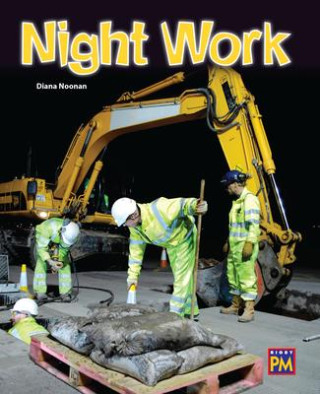 Night Work: Leveled Reader Purple Level 19