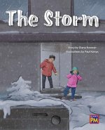 The Storm: Leveled Reader Purple Level 20