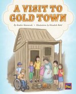 A Visit to Gold Town: Leveled Reader Purple Level 20