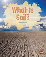 What Is Soil?: Leveled Reader Purple Level 20
