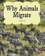 Why Animals Migrate: Leveled Reader Gold Level 21