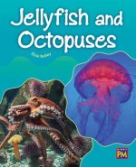 Jellyfish and Octopuses: Leveled Reader Gold Level 21