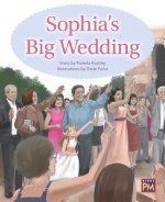 Sophia's Big Wedding: Leveled Reader Gold Level 22