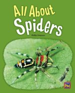 All about Spiders: Leveled Reader Gold Level 22