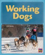 Working Dogs: Leveled Reader Gold Level 22