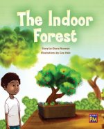 The Indoor Forest: Leveled Reader Silver Level 24