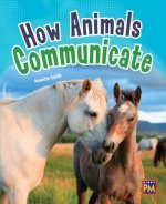 How Animals Communicate: Leveled Reader Ruby Level 27